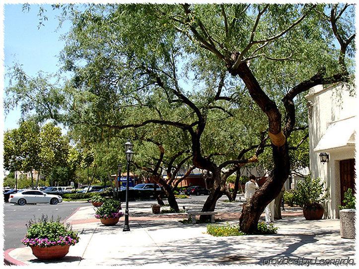Homewood Suites Tucson St. Philip'S Plaza University Bagian luar foto